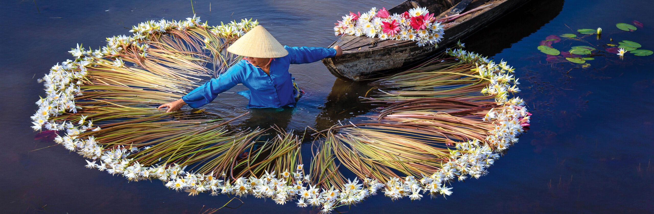 charmsofthemekong_Delta_Water_Lillies